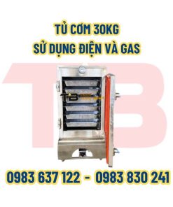 tu-com-30-kg-su-sung-dien-va-gas-2-inox-thai-binh