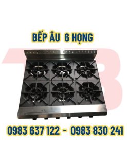 Bếp âu 6 họng Inox Thái Bình