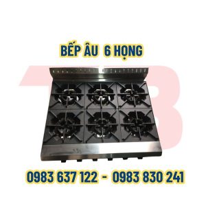 Bếp âu 6 họng Inox Thái Bình