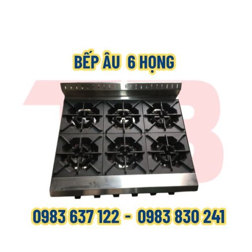 Bếp âu 6 họng Inox Thái Bình
