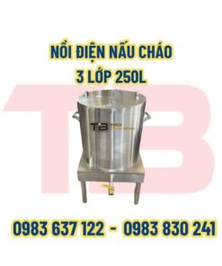 NỒI ĐIỆN NẤU CHÁO 3 LỚP 250L