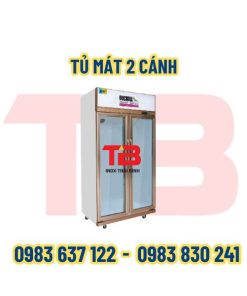 tu-mat-2-canh-inox-thai-binh