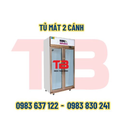 tu-mat-2-canh-inox-thai-binh