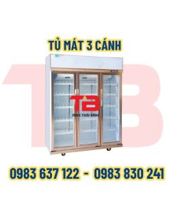 Tủ mát 3 cánh Inox Thái Bình
