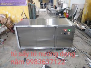 Tủ sấy nướng công nghiệp dạng nằm Inox Thái Bình